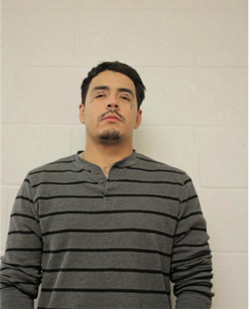 JOVAN A GONZALEZ, Cook County, Illinois