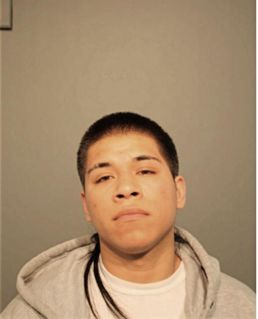 DELFINO RODRIGUEZ, Cook County, Illinois