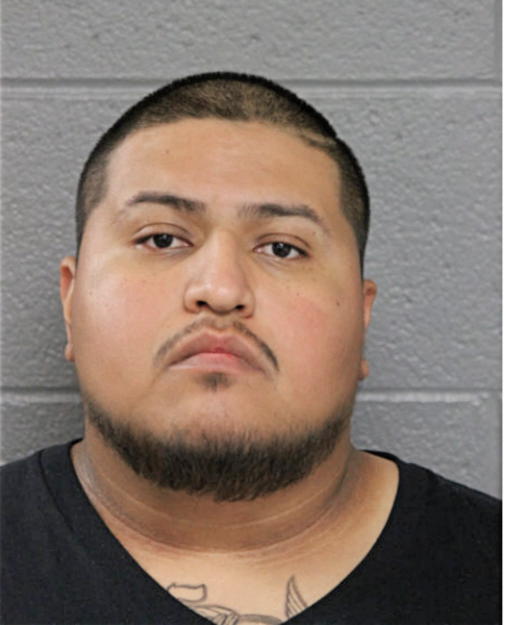 CHRISTIAN S VARGAS, Cook County, Illinois