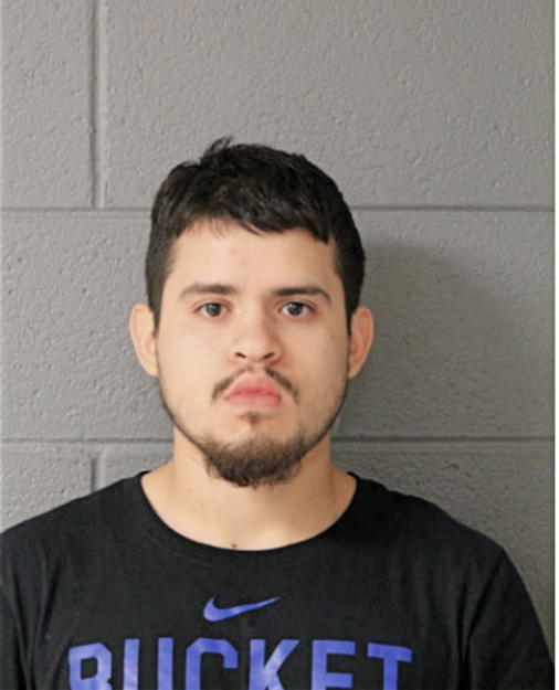 MARK A MARTINEZ, Cook County, Illinois