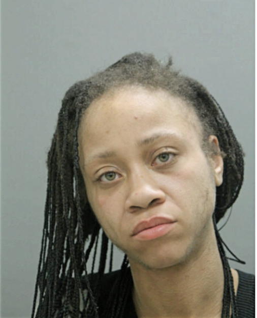 BRITTANY A LYKE, Cook County, Illinois