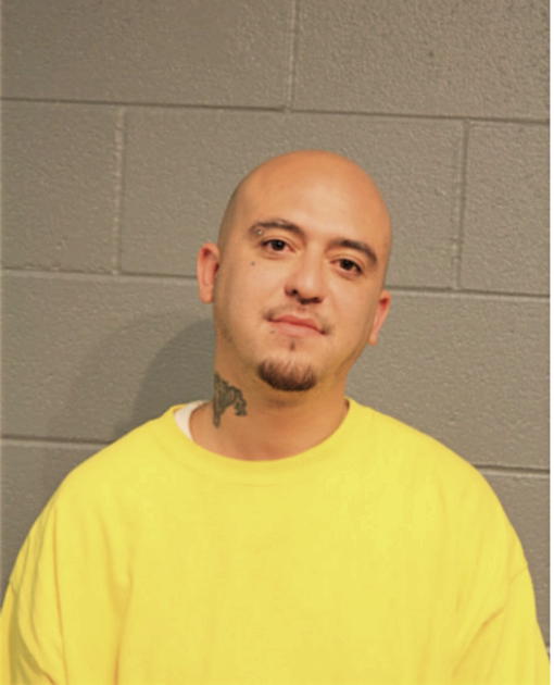 MICHAEL R GONZALEZ, Cook County, Illinois