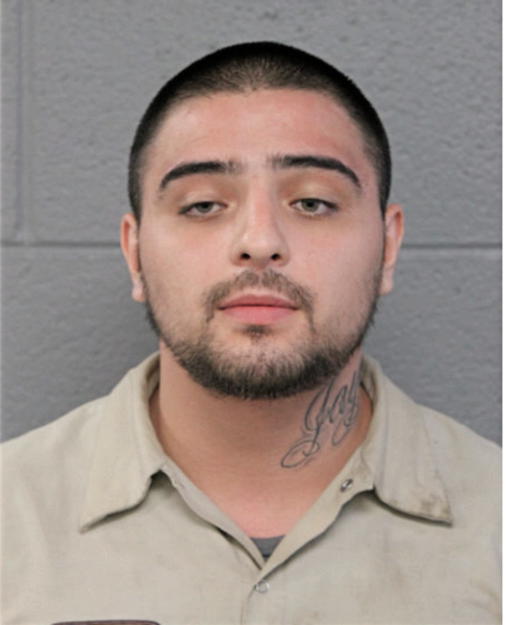 OSCAR J HERNANDEZ, Cook County, Illinois