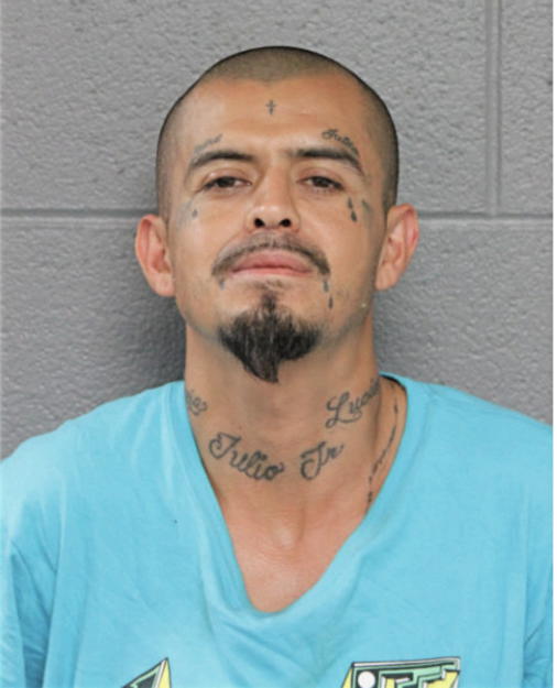 MIGUEL J MARTINEZ, Cook County, Illinois