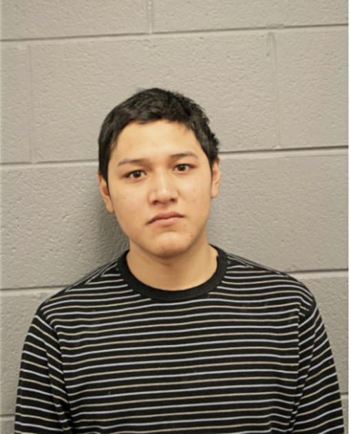 JOSE LEON, Cook County, Illinois