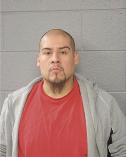 EDGAR PONCE, Cook County, Illinois