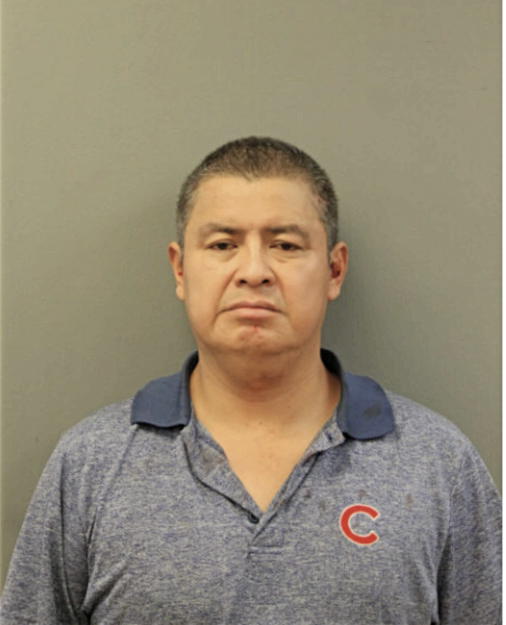 VICENTE ROSALES, Cook County, Illinois
