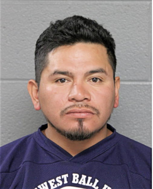 MARCO FLORES, Cook County, Illinois