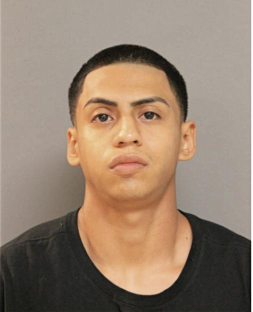 RAFAEL PONCE, IL