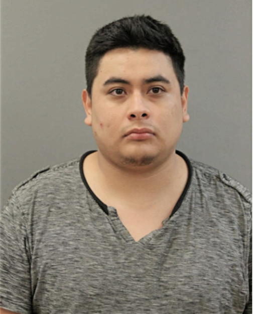 DAVID SANTIAGUILLO, Cook County, Illinois