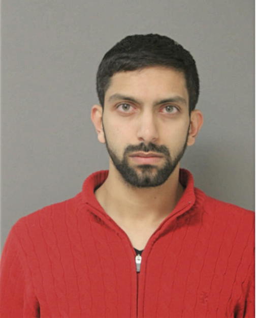 SYED F HUSSAINI, Cook County, Illinois