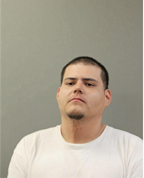 DANIEL PORTILLO, Cook County, Illinois