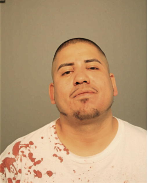 STEVEN M VASQUEZ, Cook County, Illinois