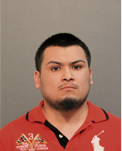 OMAR A HERNANDEZ, Cook County, Illinois