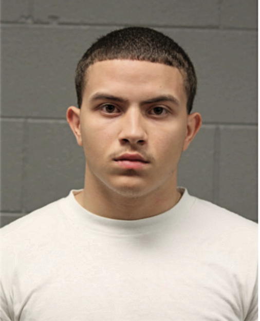 ANTHONY MALDONADO, Cook County, Illinois