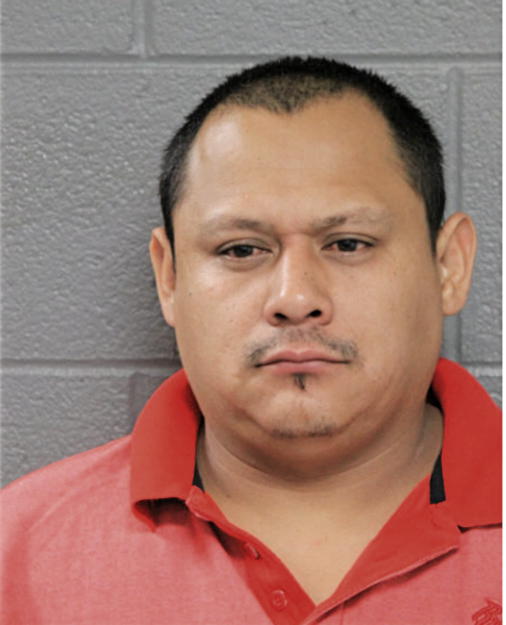 RICARDO J MEZA-AVILA, Cook County, Illinois