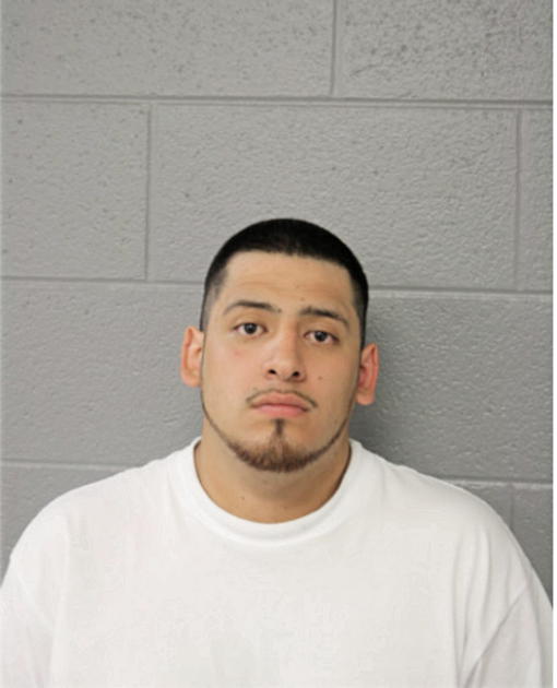 CHRISTIAN MIGUEL, Cook County, Illinois