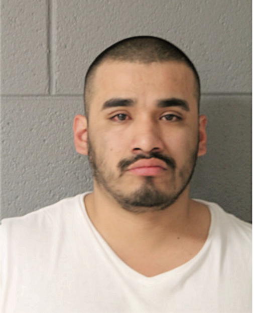 MICHAEL GALVAN, Cook County, Illinois