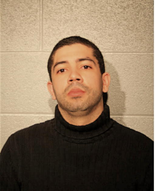 NELSON A TORRES, Cook County, Illinois
