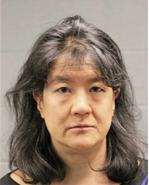 LEE ANN YANG, Cook County, Illinois