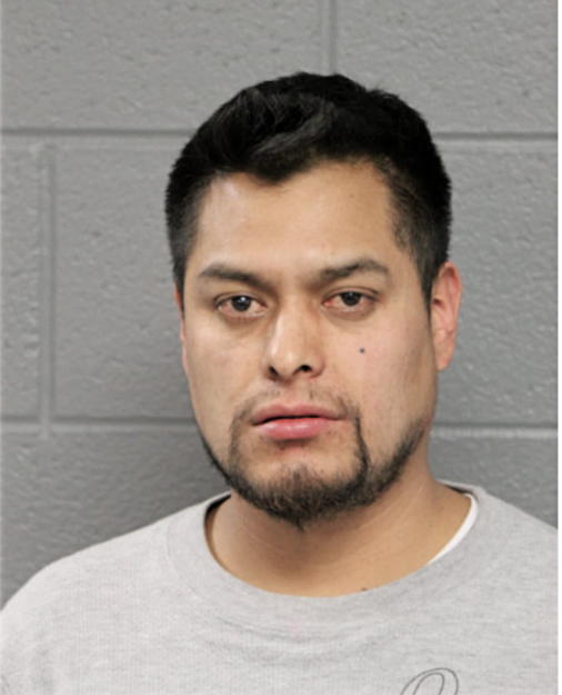 RENE FLORES FRAGOSO, Cook County, Illinois