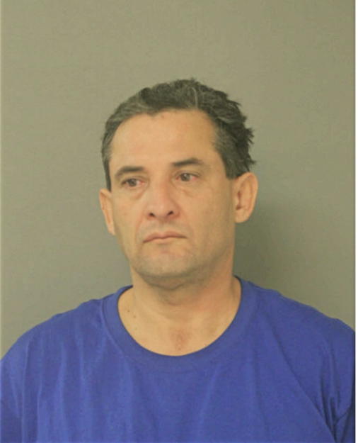 HECTOR L DELGADO, Cook County, Illinois