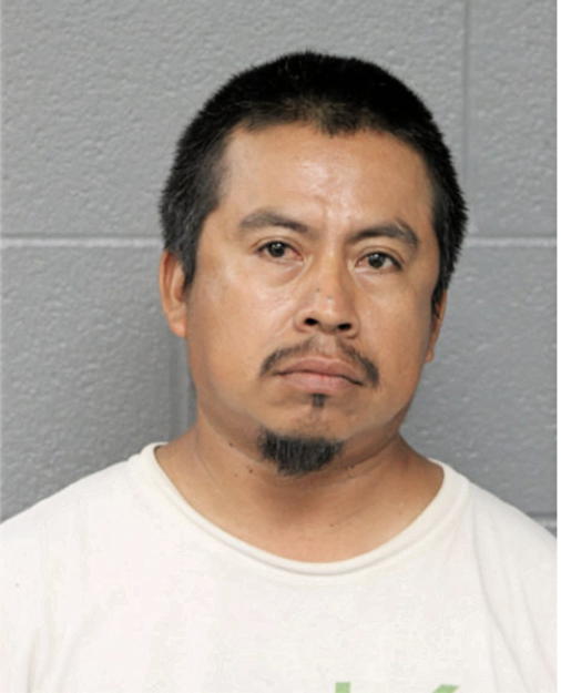 DOMINGO SALAZAR-MORALES, Cook County, Illinois