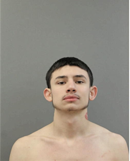 GABRIEL PONCE, Cook County, Illinois