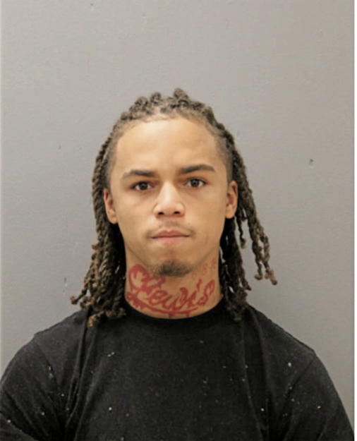 CHRISTOPHER T JOHNSON, Cook County, Illinois