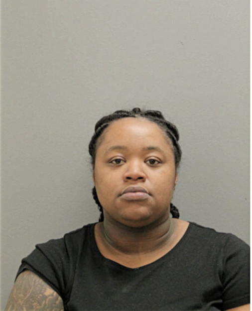 TENESHA S LEWIS, Cook County, Illinois