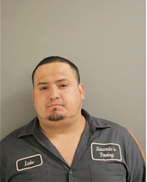 LUIS SAUCEDO, Cook County, Illinois