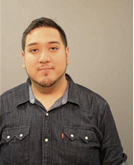 MICHAEL A HERNANDEZ, Cook County, Illinois