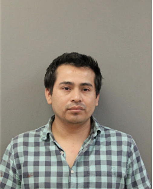 FELIPE TELLEZ, Cook County, Illinois