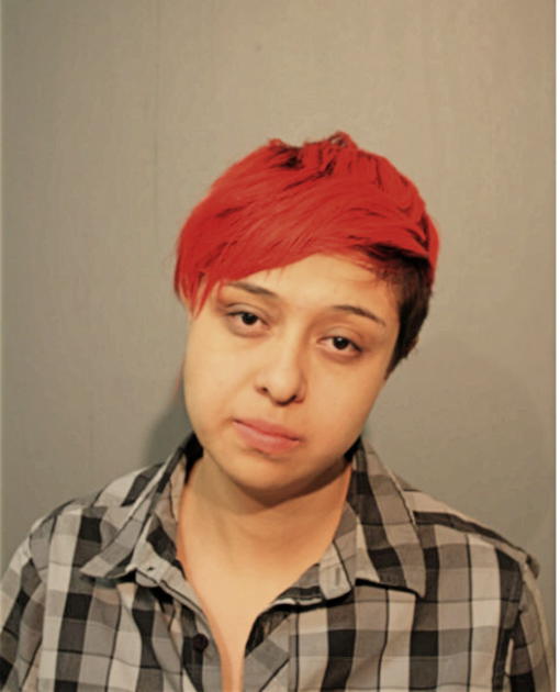 LESLIE GUTIERREZ-GARCIA, Cook County, Illinois