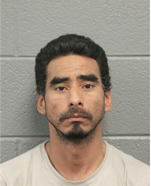 CHRISTOPHER PUENTE, Cook County, Illinois
