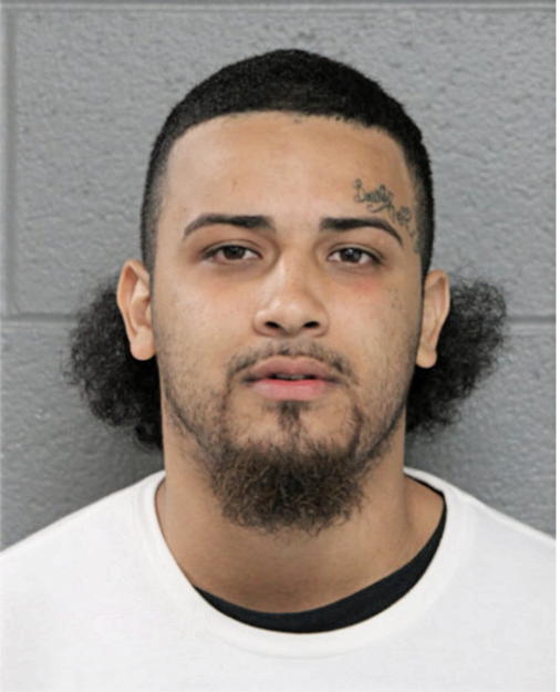 LUIS O RODRIGUEZ, Cook County, Illinois