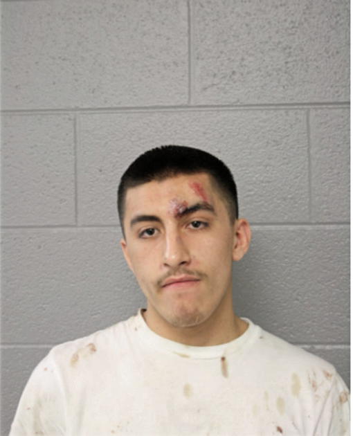 MANUEL TORRES, Cook County, Illinois
