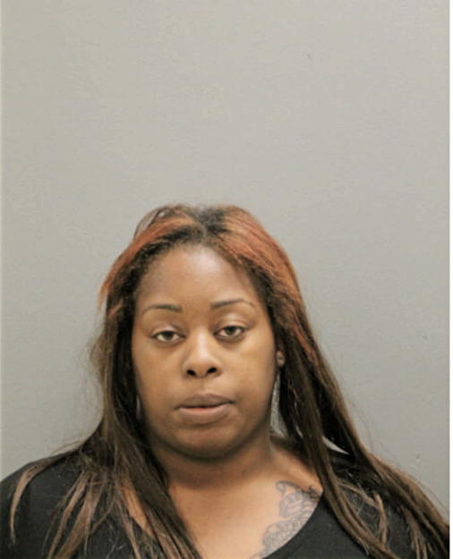 BRITTANY N WATTS, Cook County, Illinois