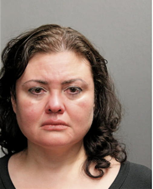MICHELLE A RODRIGUEZ, Cook County, Illinois