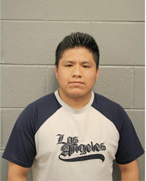 ROLANDO GUZMAN, Cook County, Illinois