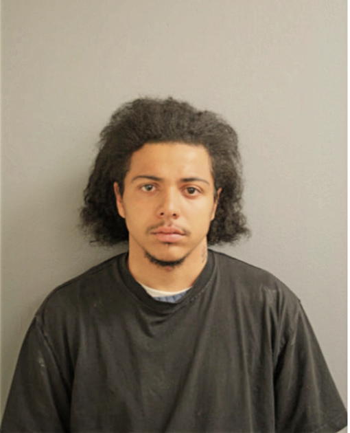 JUSTIN PARKS, Cook County, Illinois