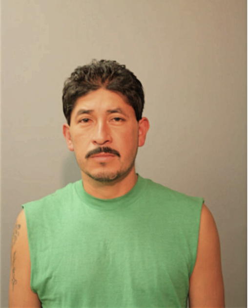 SILVESTRE VARGAS, Cook County, Illinois