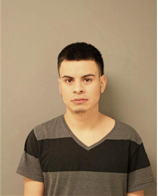 JOSE A MEJIA, Cook County, Illinois