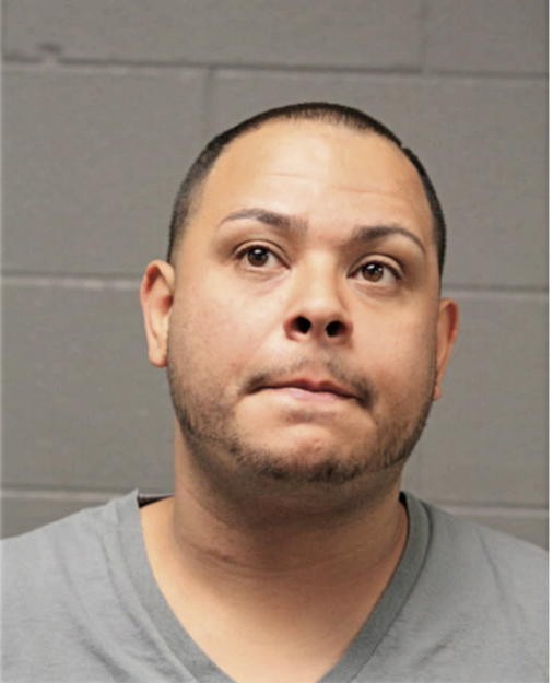 CHRISTOPHER M MEDINA, Cook County, Illinois