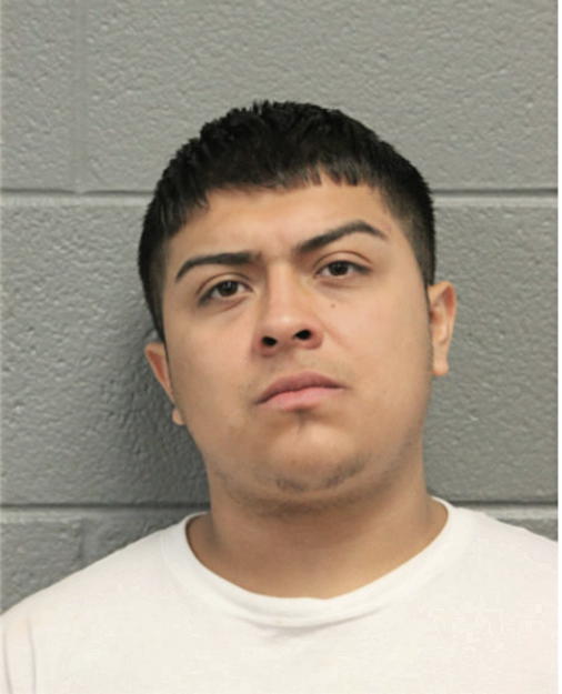 DYLAN S MEJIA, Cook County, Illinois