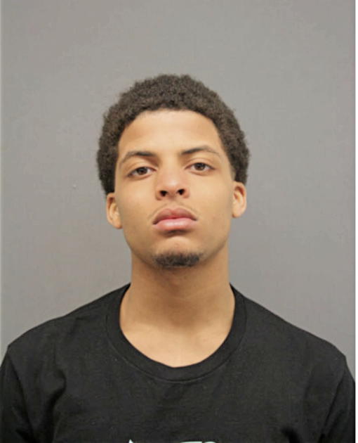 ERIQ N HOLLIMAN, Cook County, Illinois