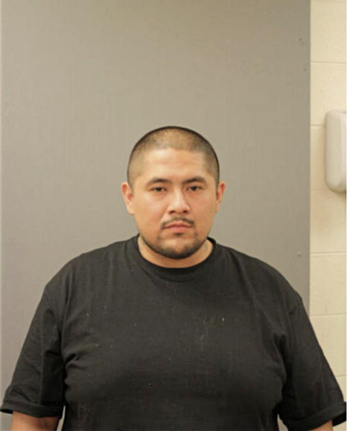 NICHOLAS MENDOZA, Cook County, Illinois