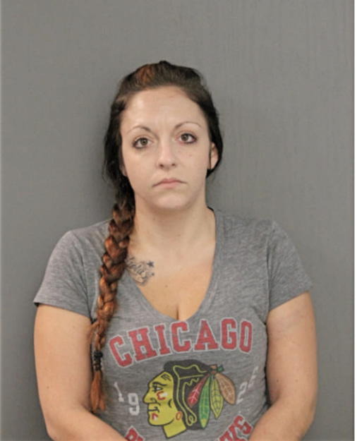 SARAH K JOHNSON, Cook County, Illinois