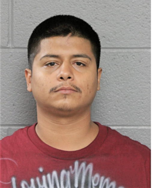 MIGUEL S TORRES, Cook County, Illinois