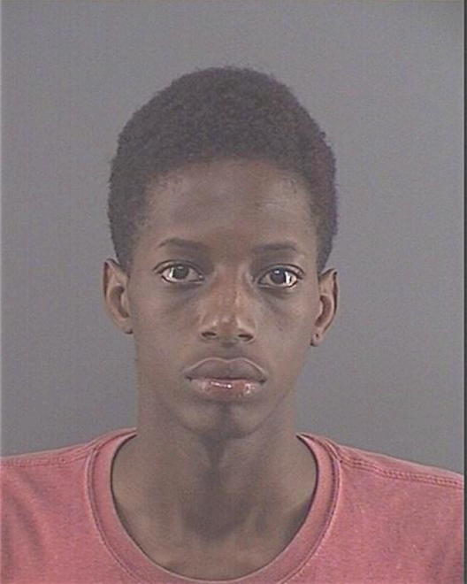 NELSON, JEVONTA T - Peoria County, IL